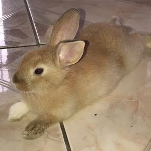 Meet your Posher, Vanessa